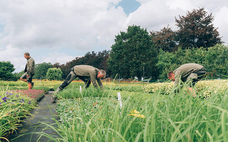 Werken bij Botanisk