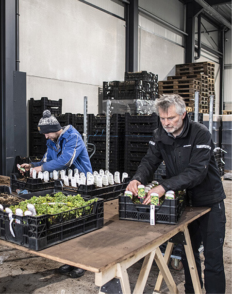 Travailler à Botanisk