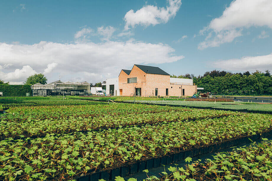 Botanisk en energie