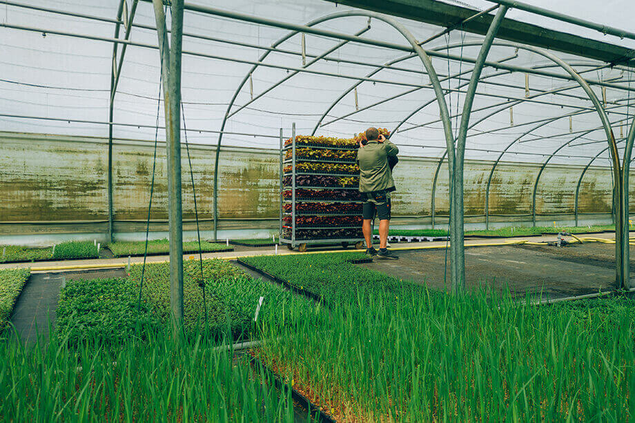 Botanisk et Réutilisation et recyclage