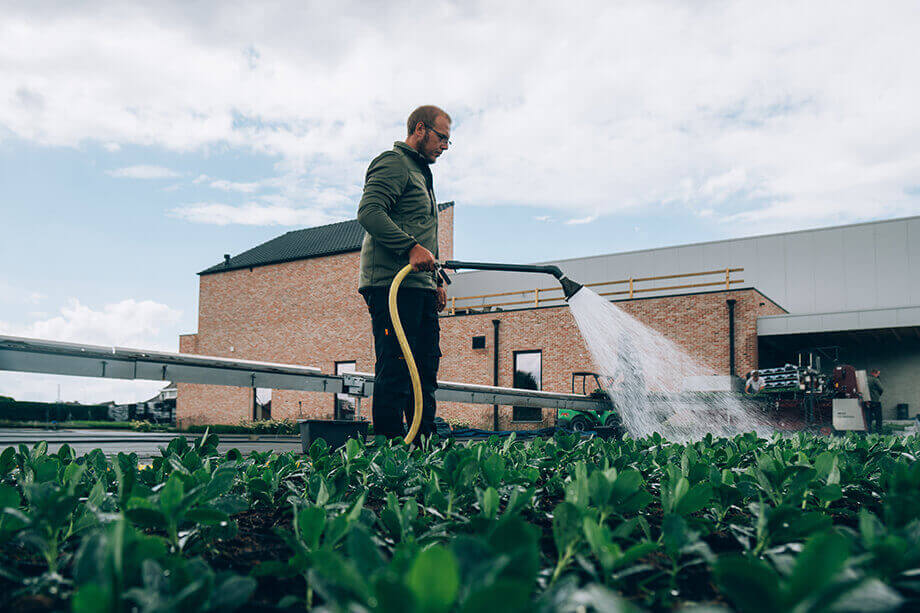 Botanisk en water