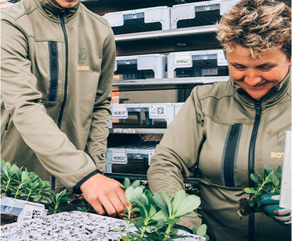 postuler à un emploi chez Botanisk