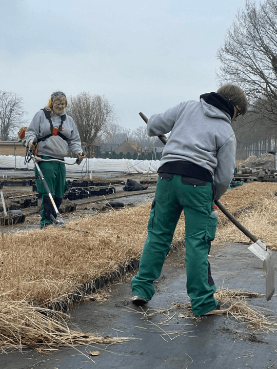 Sierteelt in actie